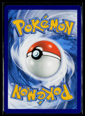 Welcoming Lantern (Secret) Holo SWSH06: Chilling Reign 230/198 NM