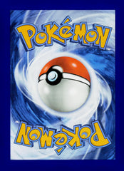 Drayton SSP NM