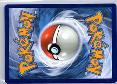 Charizard VMAX Promo SWSH: Sword & Shield Promo Cards SWSH261 NM (Back)