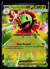 Mega Meganium ex MEP 034 Holo NM