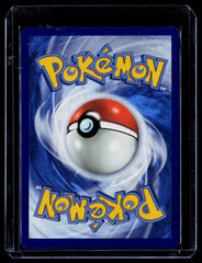 Greninja Star Holo SWSH: Sword & Shield Promo Cards SWSH144 NM