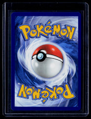 Mega Darkrai ex PBL 048/084 Holo NM