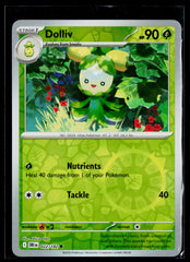Dolliv DRI 022/182 Reverse Holo NM