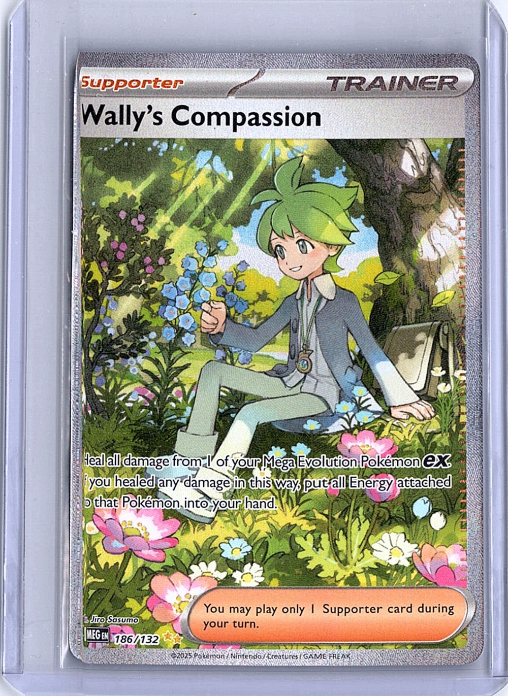 Wally's Compassion Special Illustration Rare ME01: Mega Evolution 186/132 NM