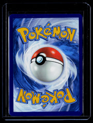 Mega Lucario ex Holo ME01: Mega Evolution 160/132 NM