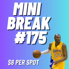 Eastside Breaks Random - MINI Break #175