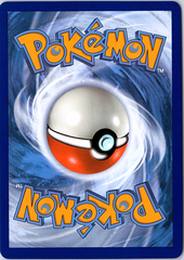 Mewtwo VSTAR (79) (Secret) Secret Rare Pokemon GO 079/078 NM (Back)