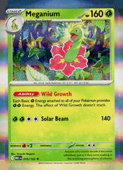 Meganium MEG 010/132 Holo NM