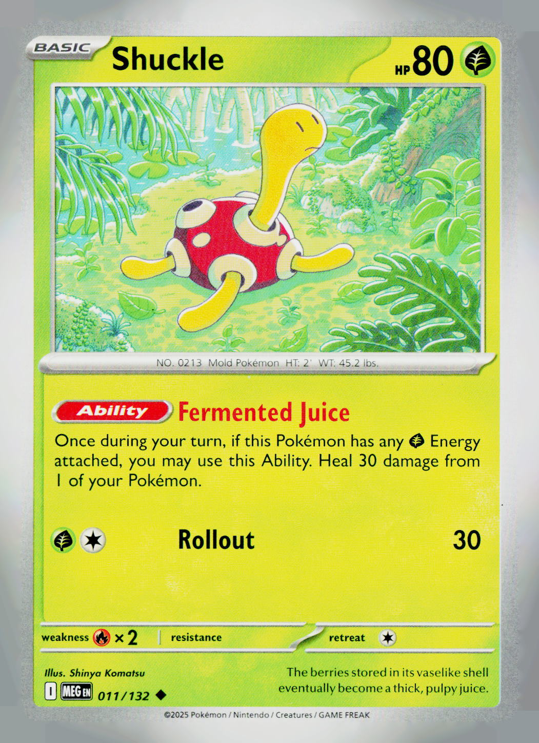 Shuckle MEG 011/132 NM