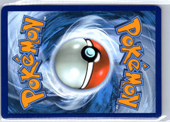 Terrakion Illustration Rare SV: White Flare 135/086 NM (Back)