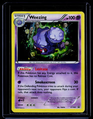 Weezing Holo XY Promos XY163 NM