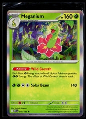 Meganium MEG 010/132 Holo NM