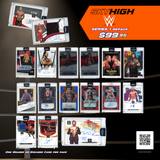 2024 Skyhigh WWE Series 1 Mystery Pack