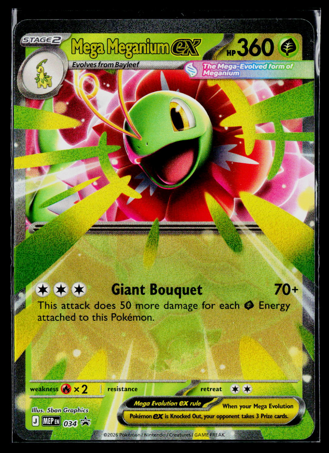 Mega Meganium ex MEP 034 Holo NM