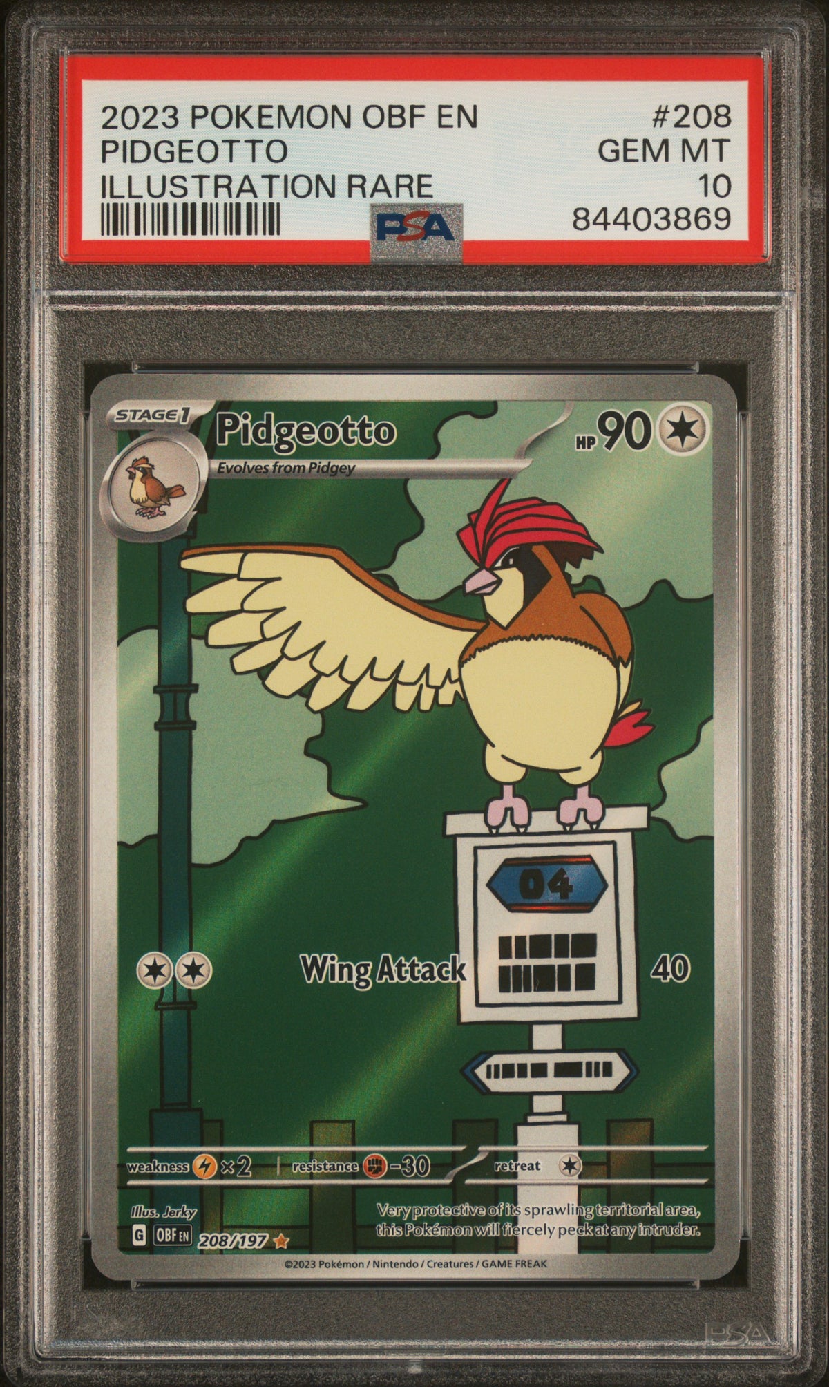 2023 Pokemon Obf En-Obsidian Flames #208 Pidgeotto Illustration Rare PSA 10