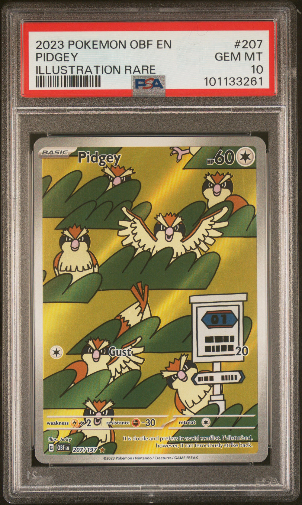 2023 Pokemon Obf En-Obsidian Flames #207 Pidgey Illustration Rare PSA 10