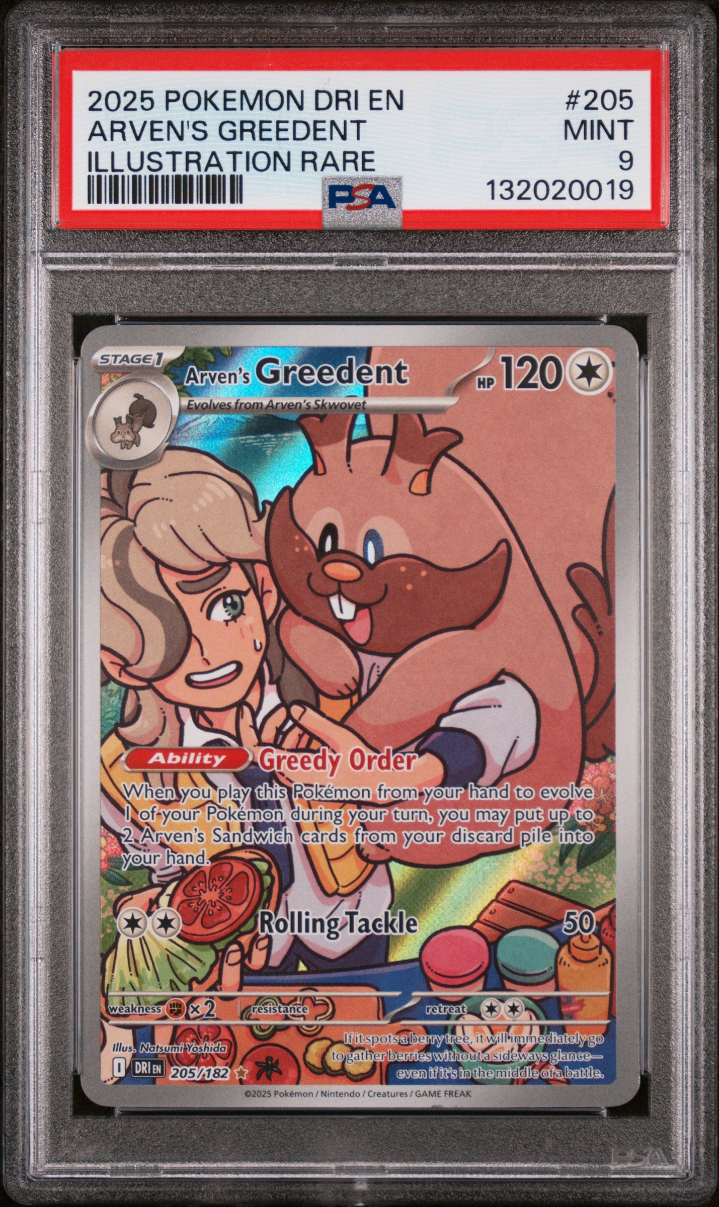 2025 Pokemon Dri En-Destined Rivals #205 Arven'S Greedent Illustration Rare PSA 9