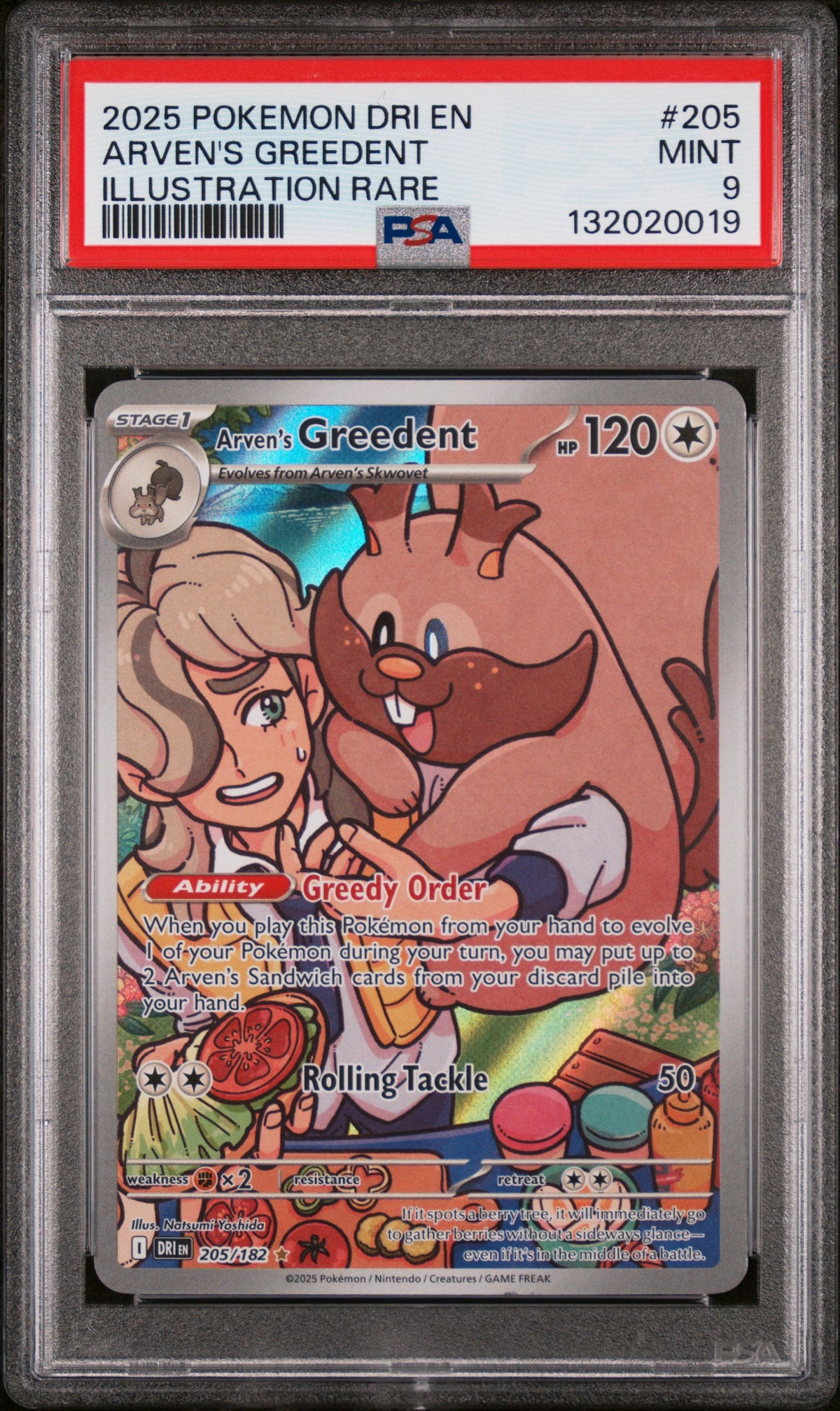2025 Pokemon Dri En-Destined Rivals #205 Arven'S Greedent Illustration Rare PSA 9