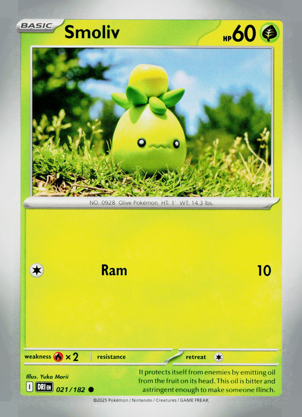 Smoliv DRI 021/182 NM