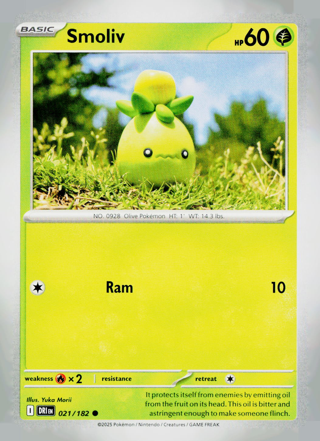 Smoliv DRI 021/182 NM