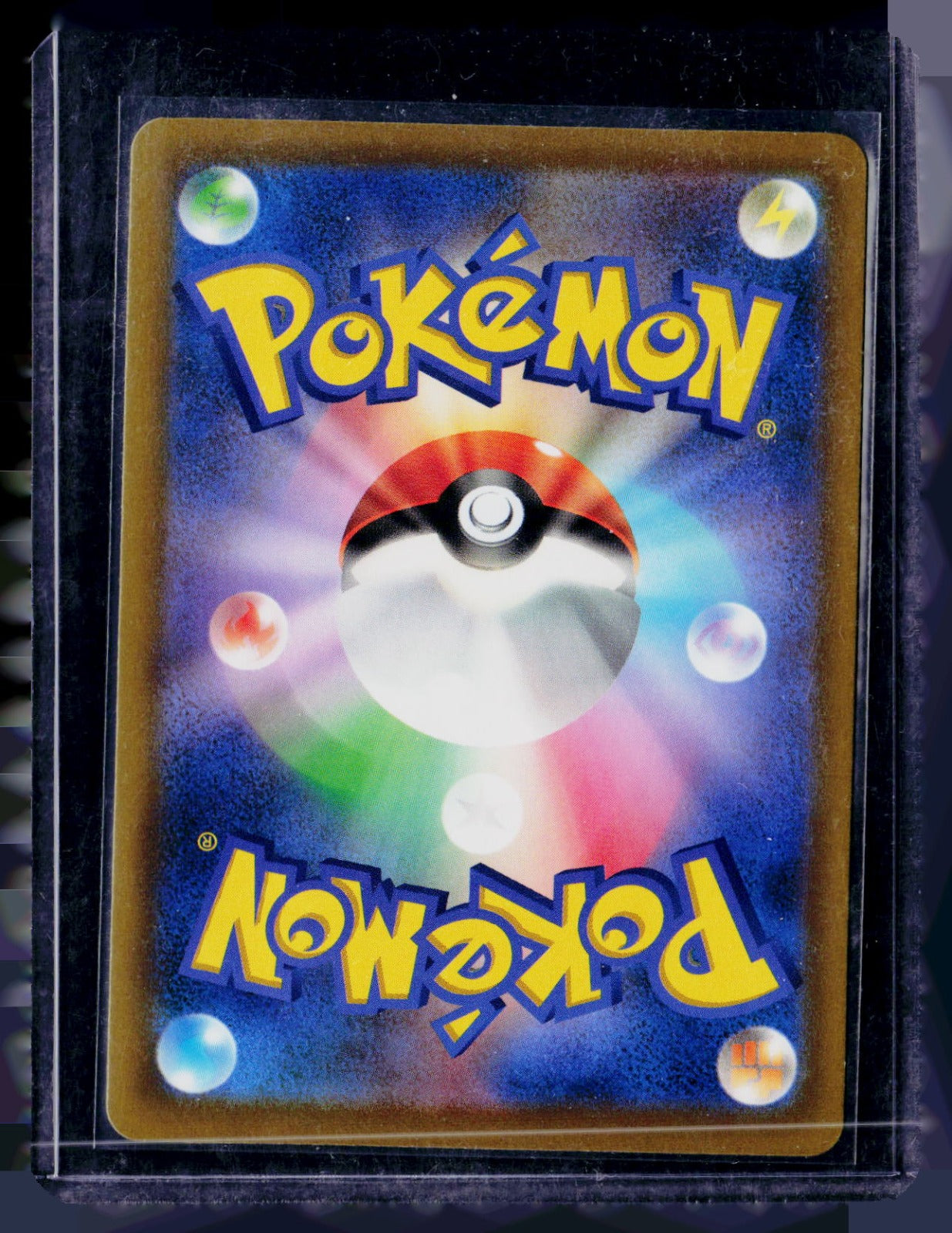 Tate & Liza's Training M6 Holo NM