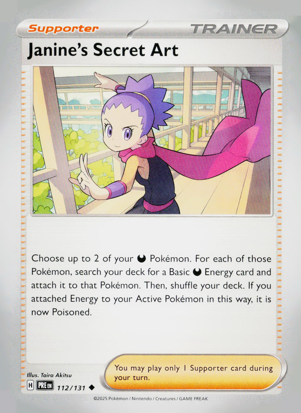 Janine's Secret Art PRE NM