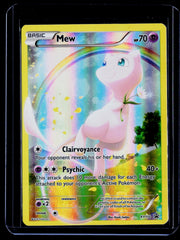 Mew xy110 PR Holo NM