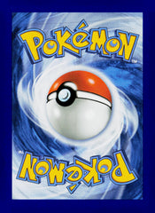 Surfer ASC NM