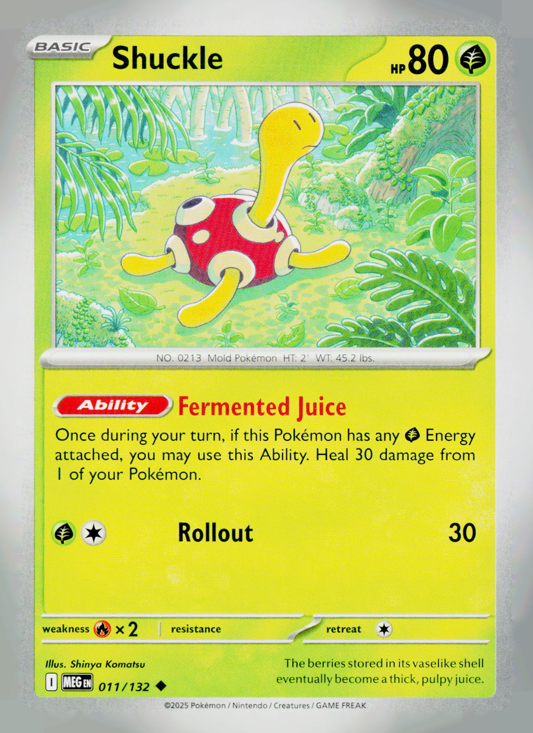 Shuckle MEG 011/132 NM