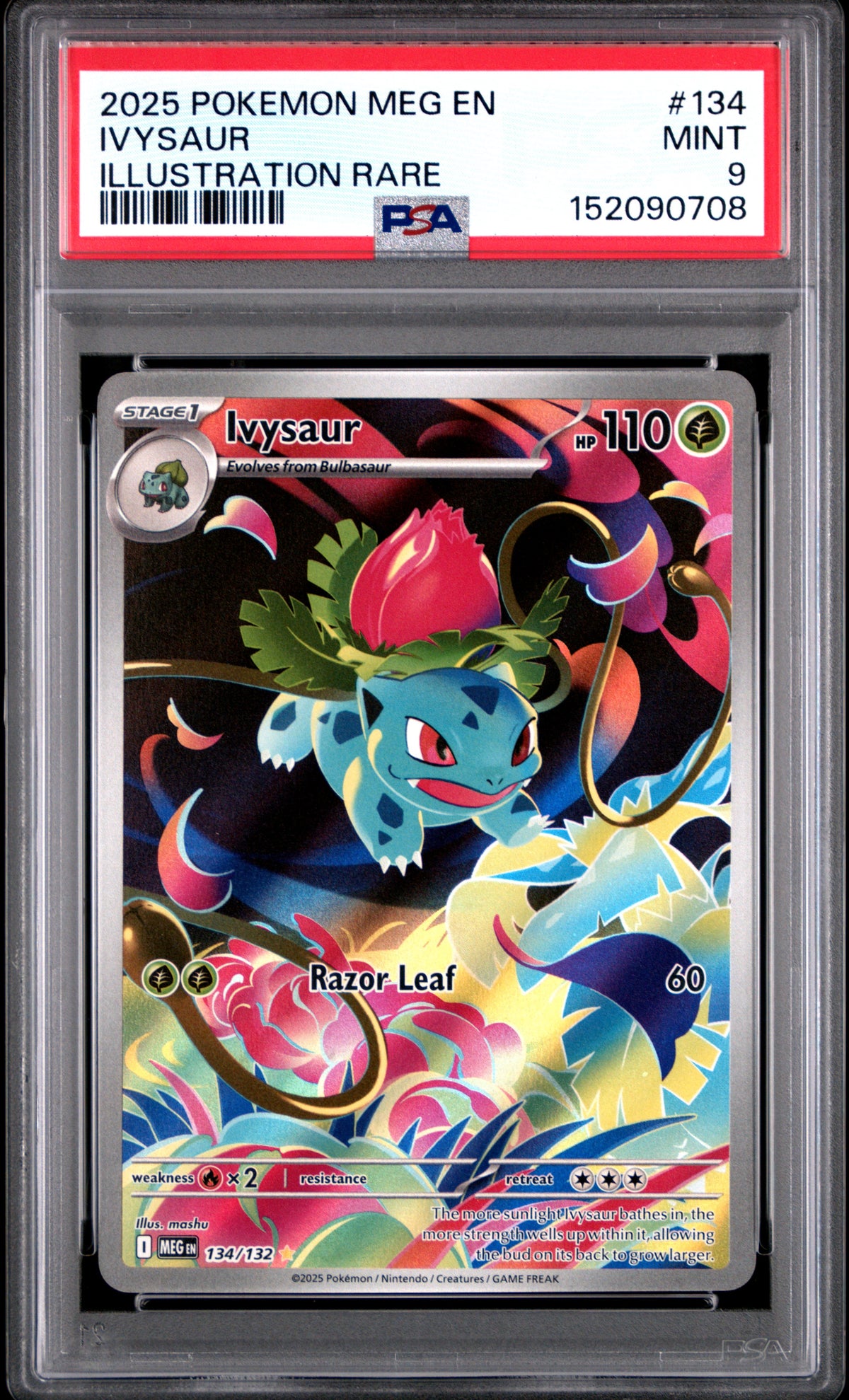 2025 Pokemon Meg En-Mega Evolution #134 Ivysaur Illustration Rare PSA 9
