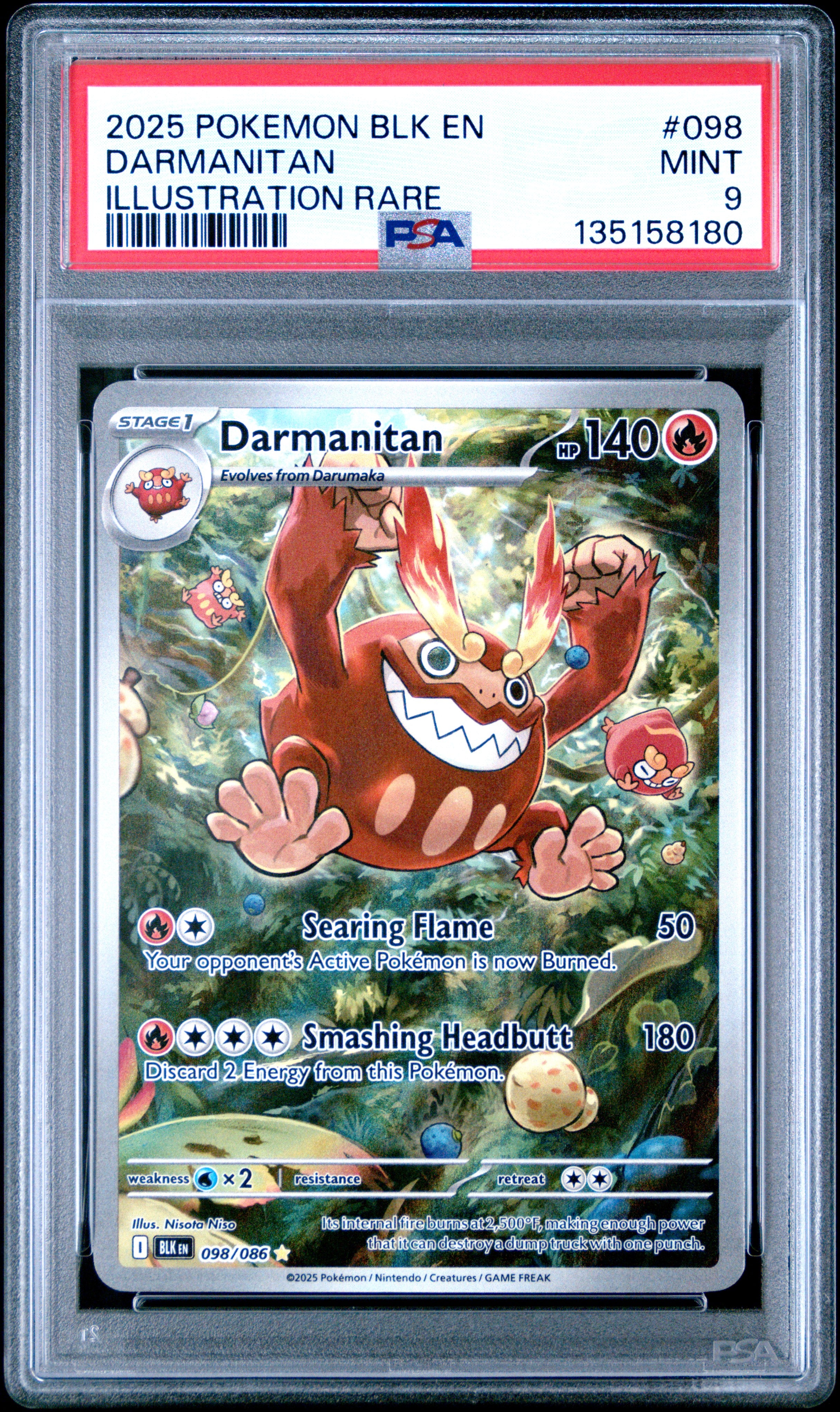 2025 Pokemon Eng-Black Bolt #098 Darmanitan Illustration Rare PSA 9