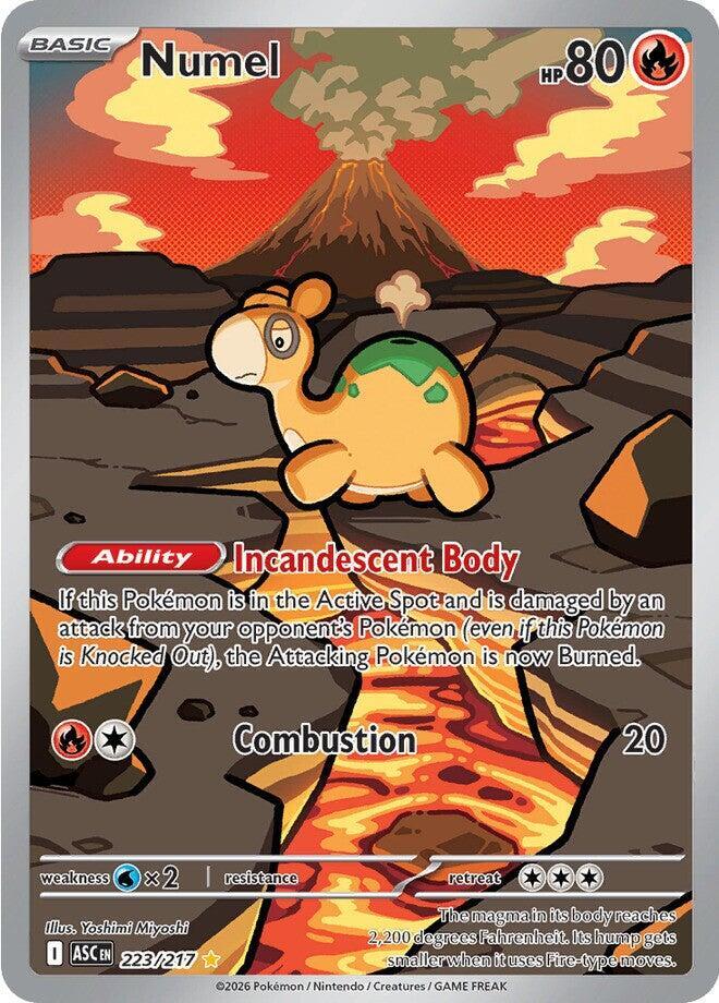 Numel Illustration Rare ME: Ascended Heroes 223/217 NM
