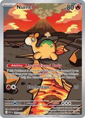 Numel Illustration Rare ME: Ascended Heroes 223/217 NM