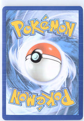 Lucario VSTAR - Promo SWSH: Sword & Shield Promo Cards SWSH291 NM (Back)