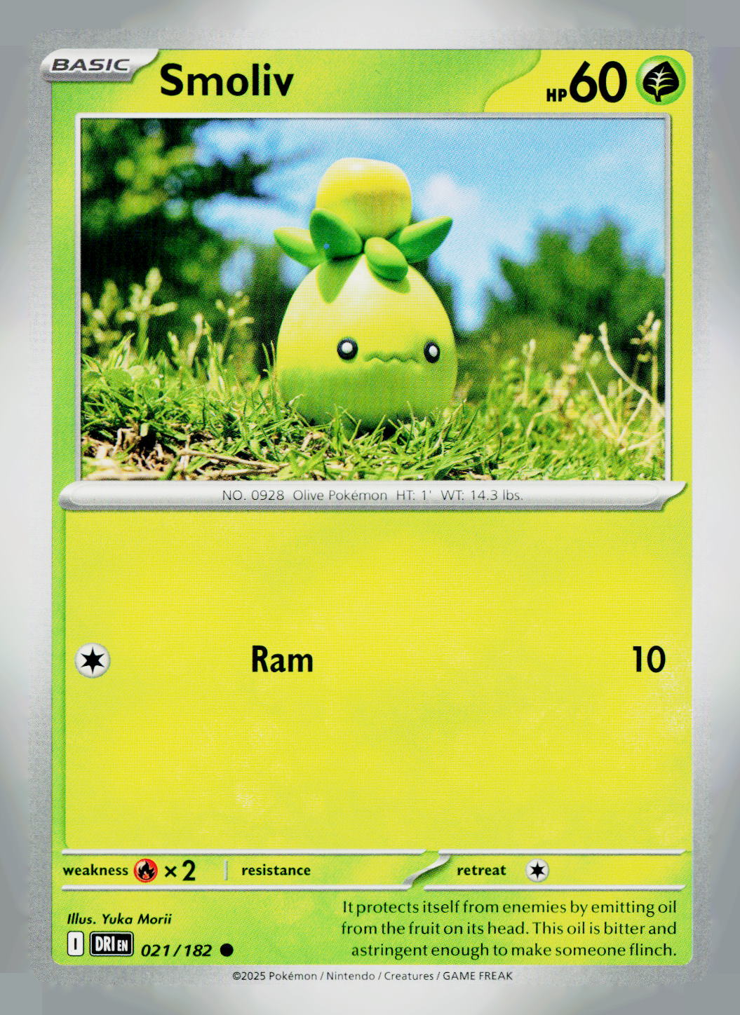 Smoliv DRI 021/182 NM