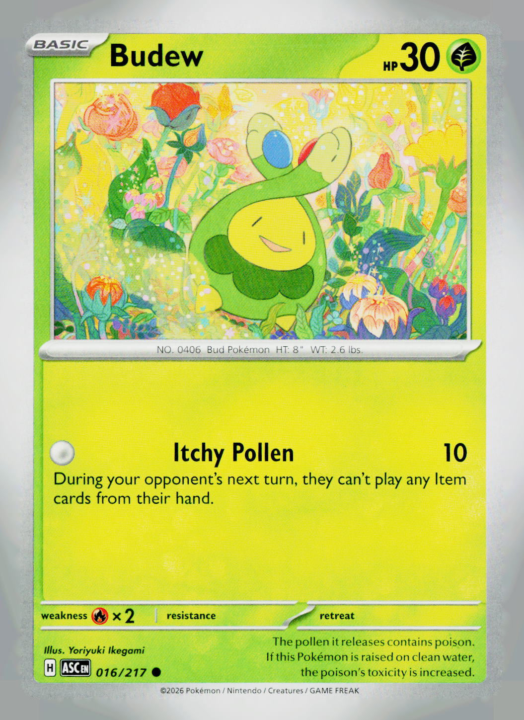 Budew ASC 016/217 NM
