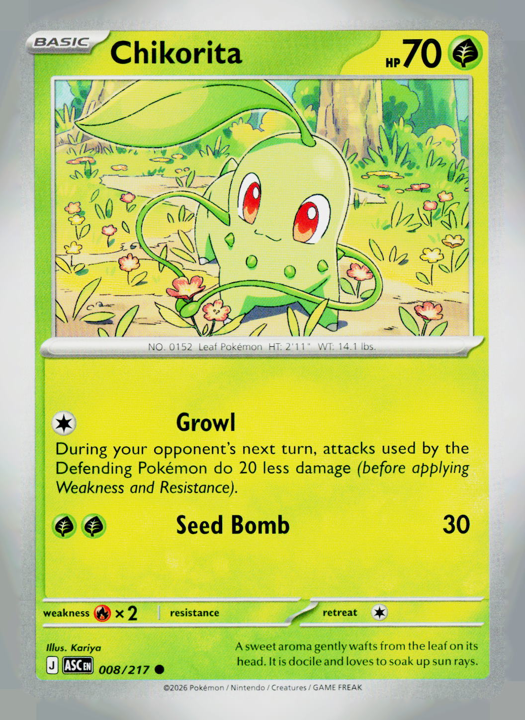 Chikorita ASC 008/217 NM