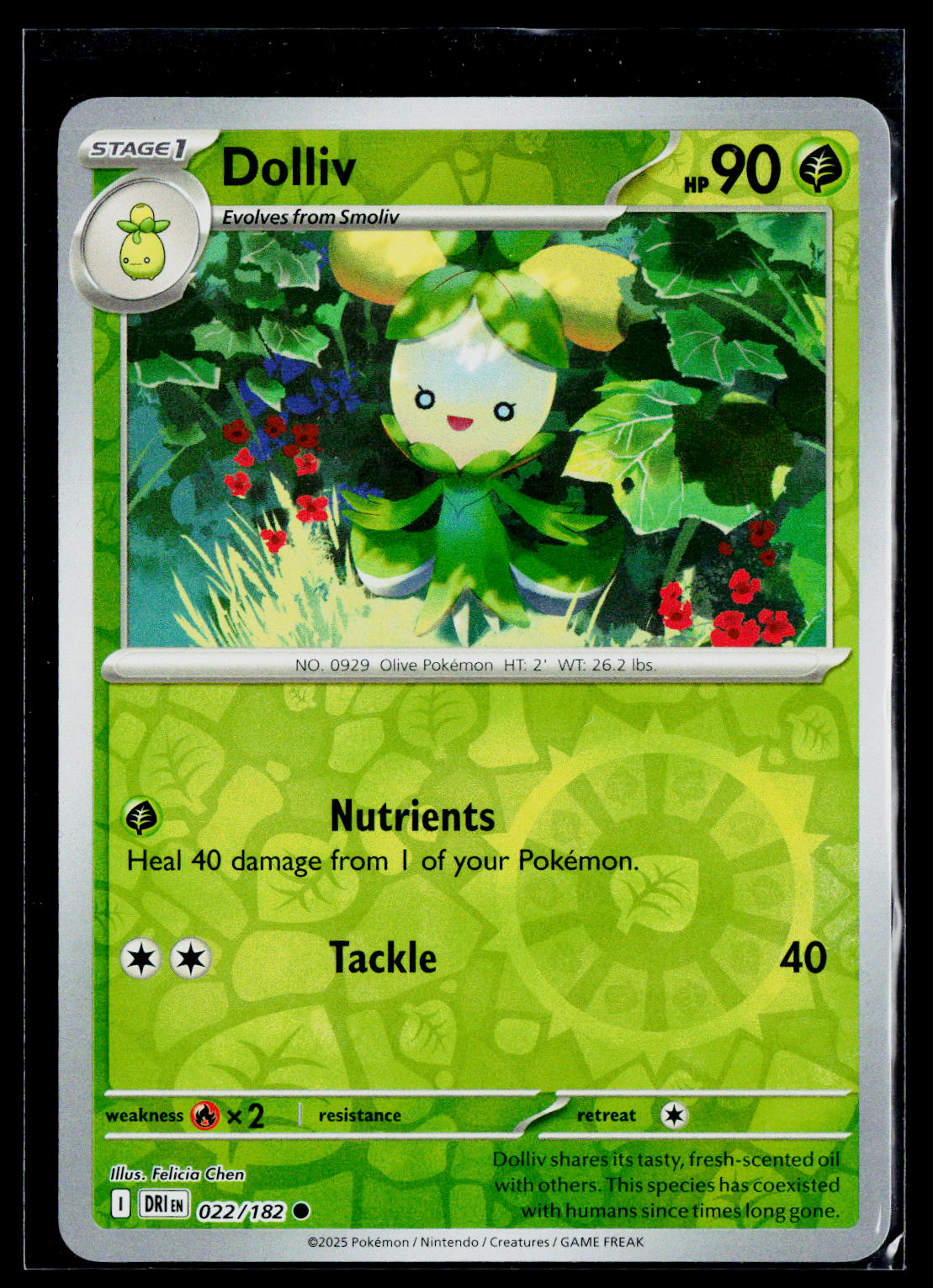 Dolliv DRI 022/182 Reverse Holo NM