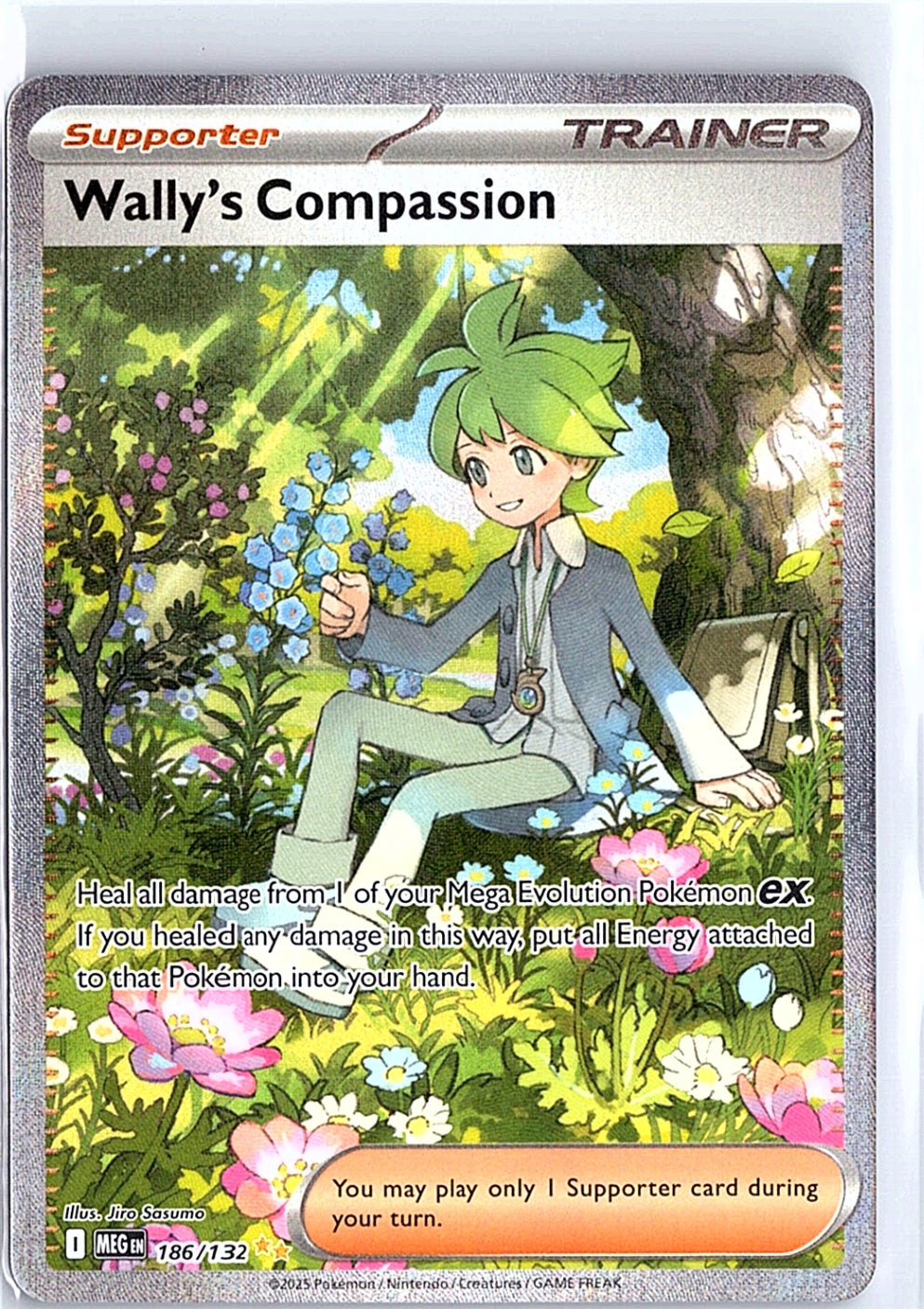 Wally's Compassion Special Illustration Rare ME01: Mega Evolution 186/132 NM