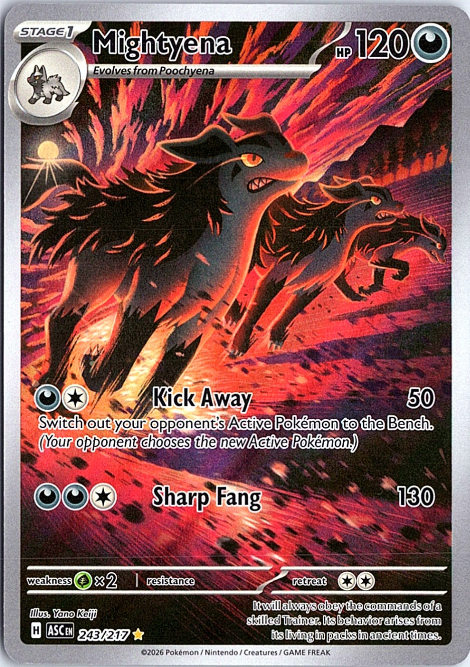 Mightyena Illustration Rare ME: Ascended Heroes 243/217 NM