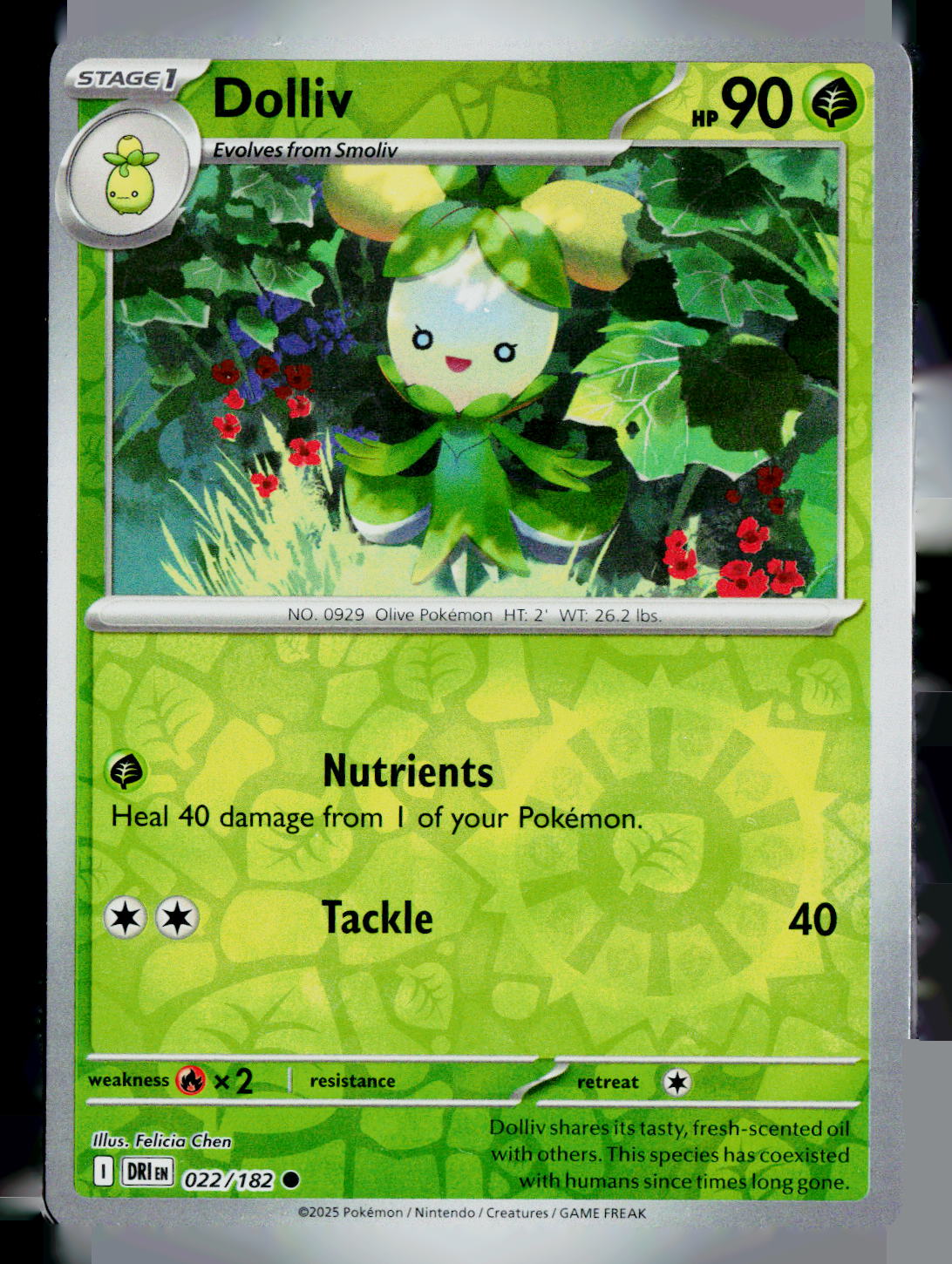 Dolliv DRI 022/182 Reverse Holo NM