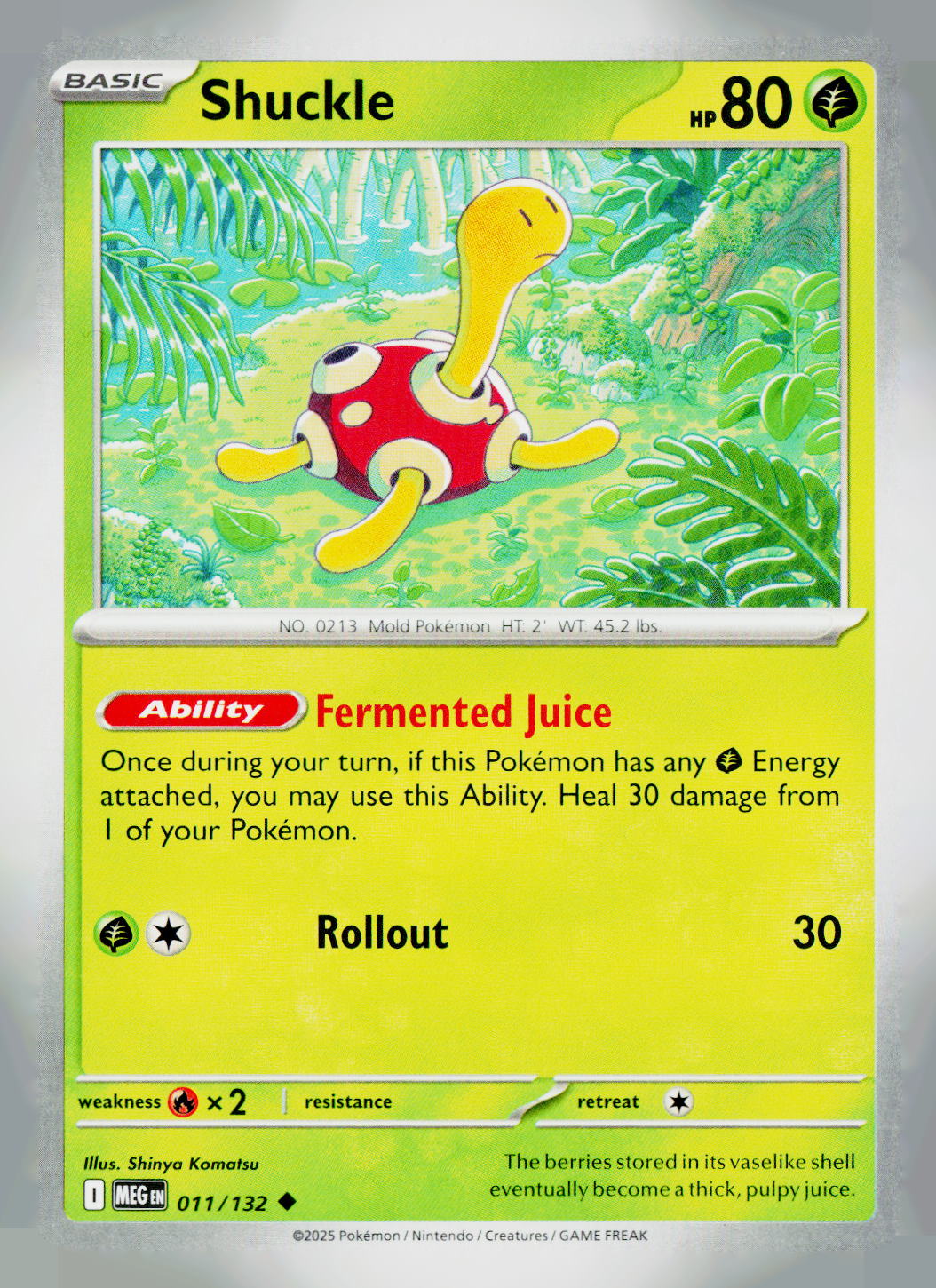 Shuckle MEG 011/132 NM