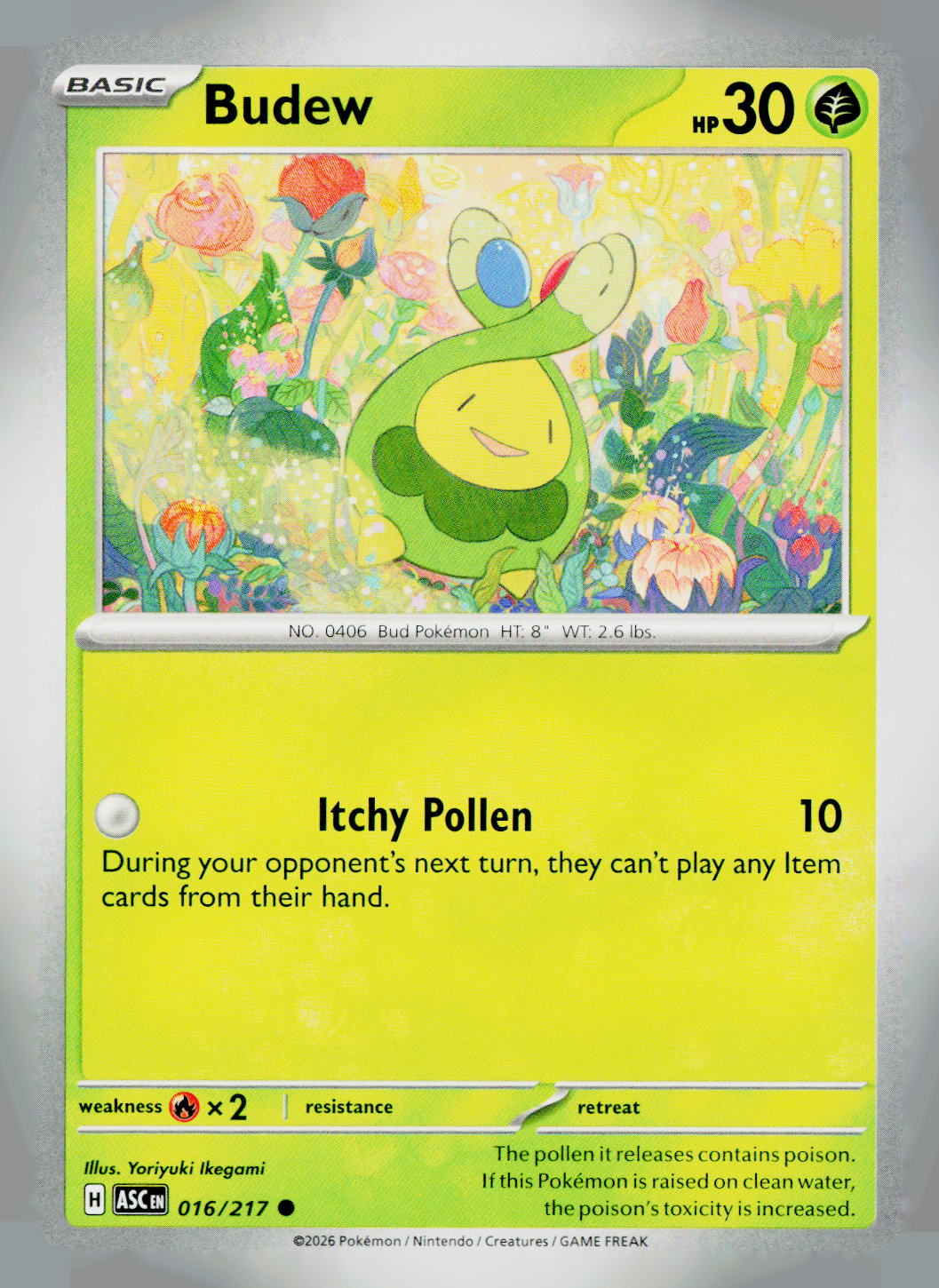 Budew ASC 016/217 NM