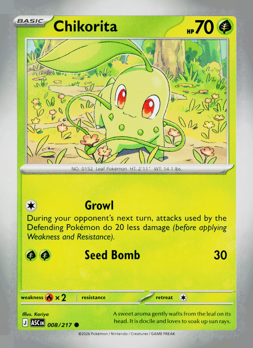 Chikorita ASC 008/217 NM