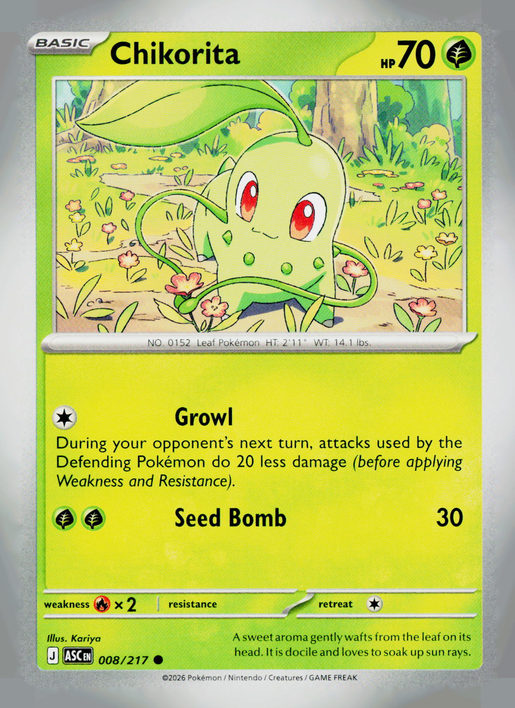 Chikorita ASC 008/217 NM