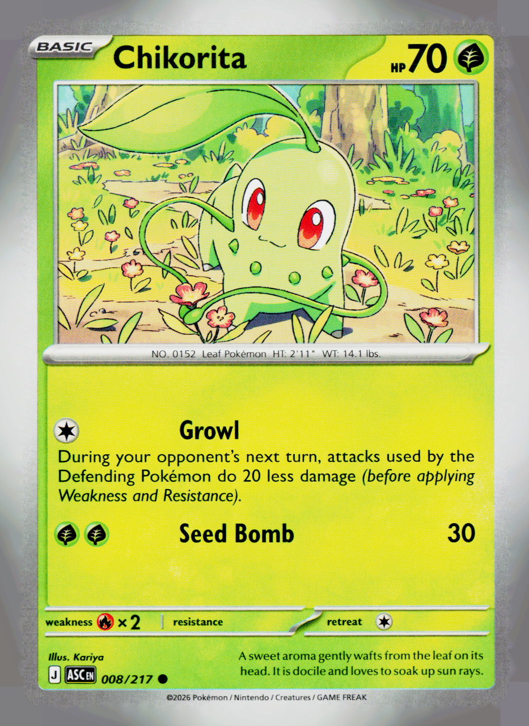 Chikorita ASC 008/217 NM