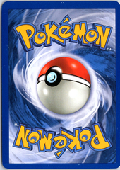 Dark Machamp (10) Holo Rare Team Rocket 10/82 NM (Back)