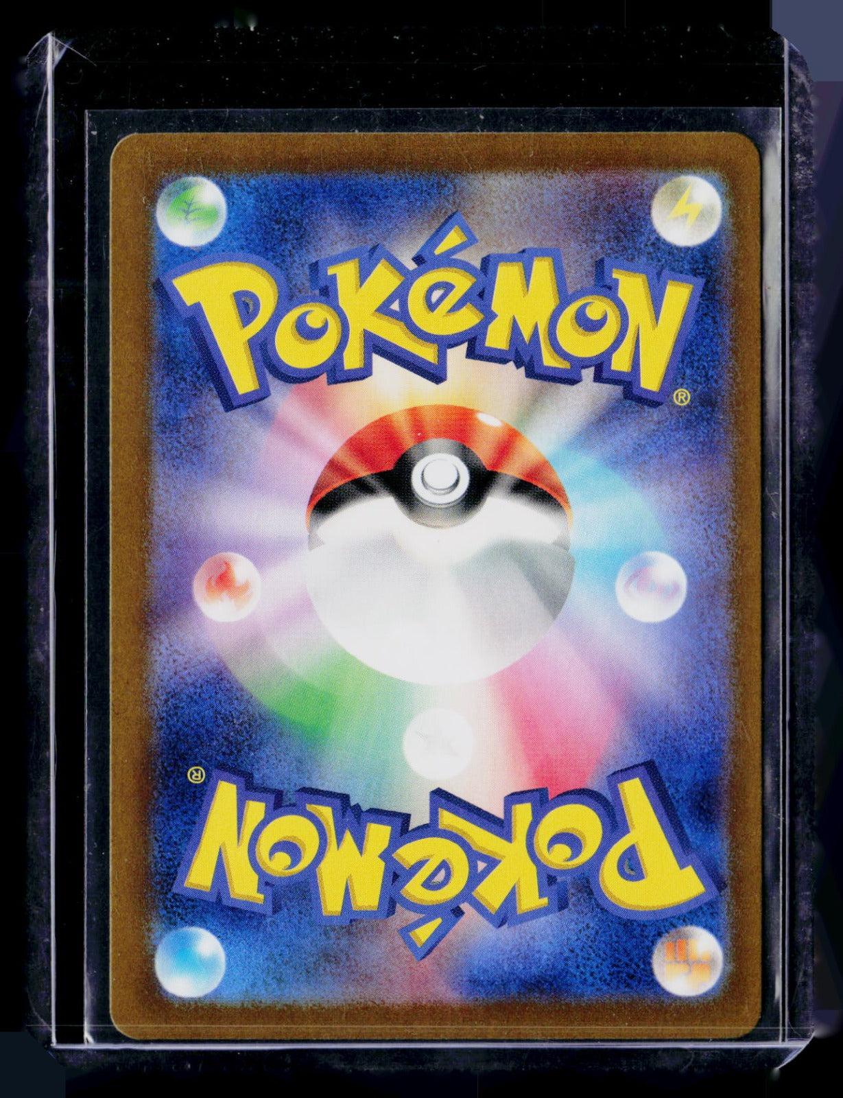 Chatot SV5K Holo NM