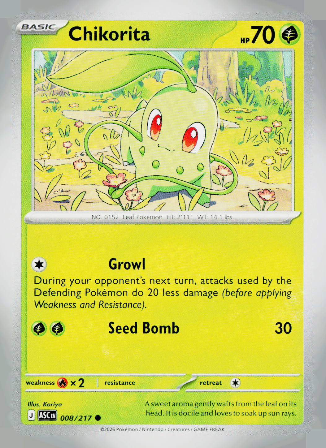 Chikorita ASC 008/217 NM