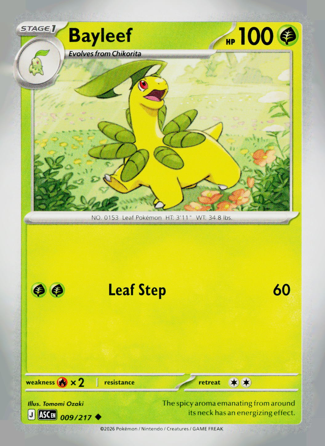 Bayleef ASC 009/217 NM
